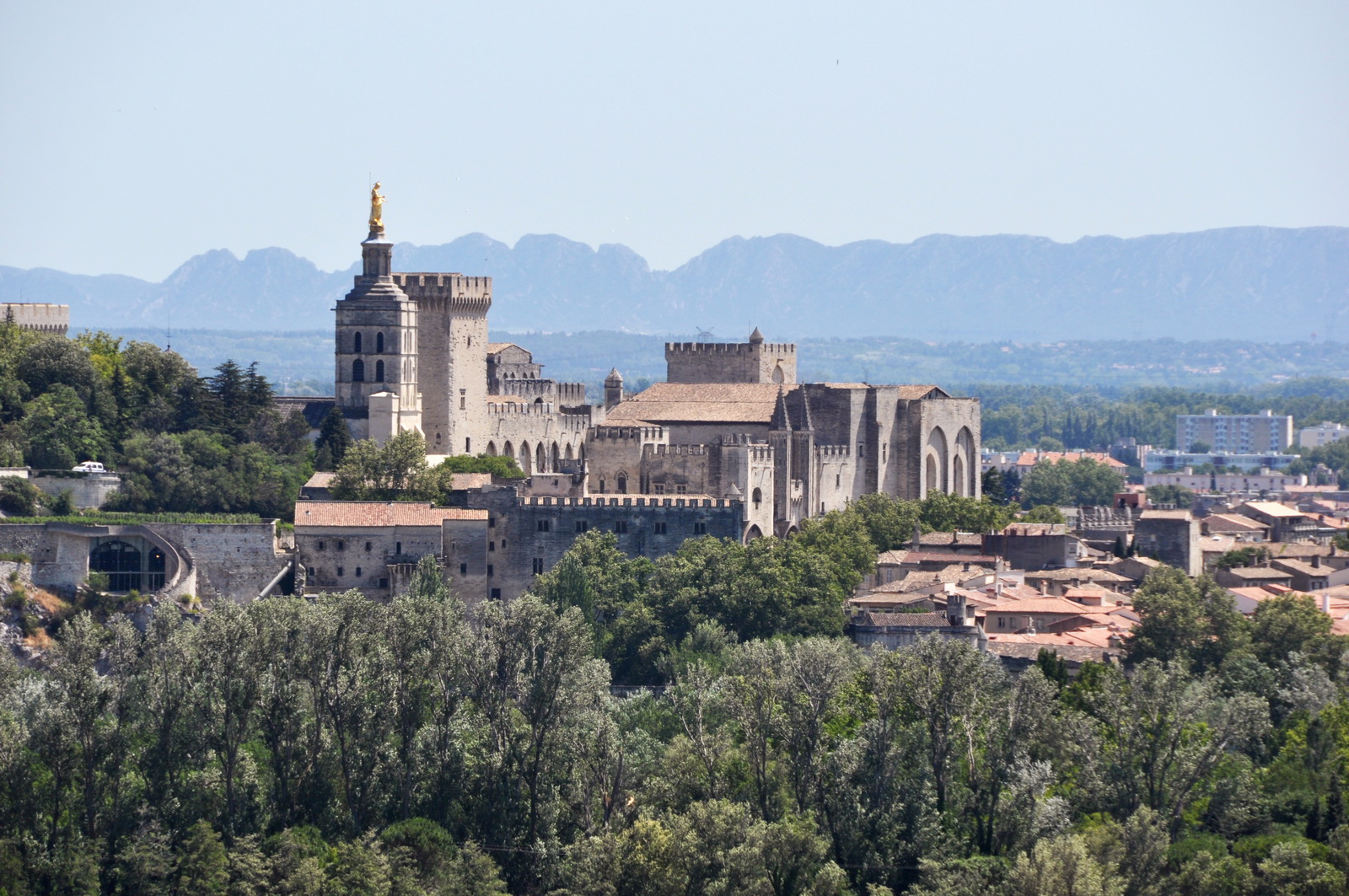 Avignon